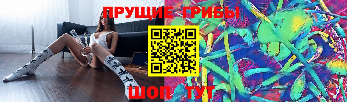 Псилоцибиновые грибы Magic Shrooms Новокубанск